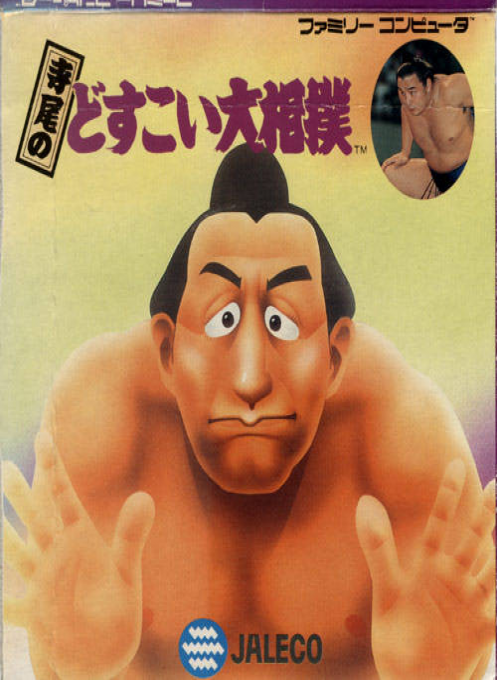 Terao no Dosukoi Oozumou box art