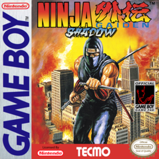 Ninja Gaiden Shadow box art