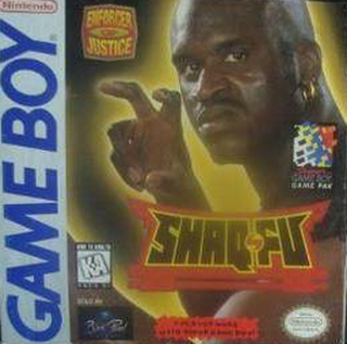Shaq-Fu box art
