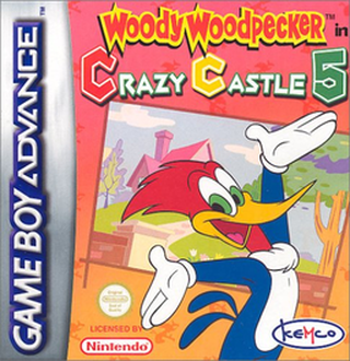 Woody Woodpecker in Crazy Castle 5 box art