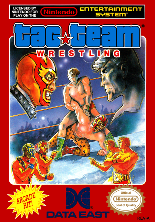 Tag Team Wrestling box art