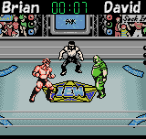 Big Bang Pro Wrestling gameplay screenshot
