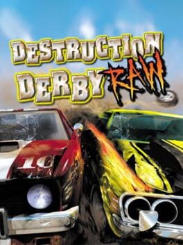 Destruction Derby Raw box art