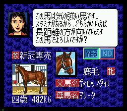 Winning Post gameplay screenshot