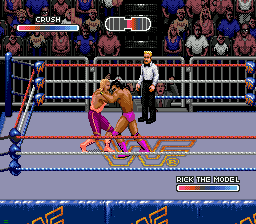 WWF Rage in the Cage gameplay screenshot
