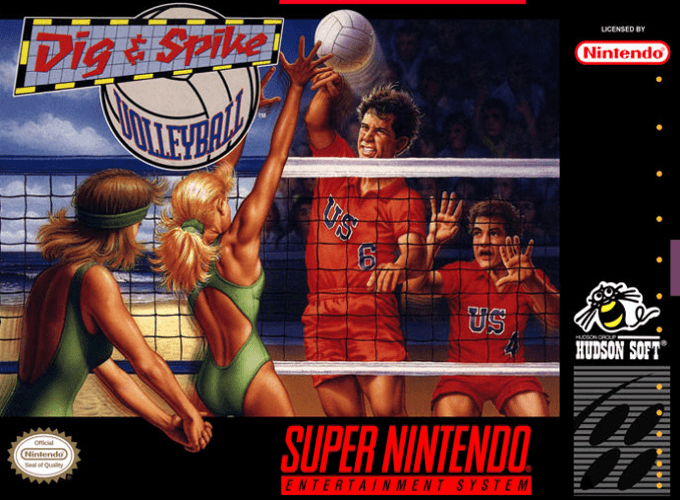 Dig & Spike Volleyball box art
