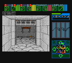 Dungeon Master gameplay screenshot