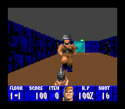 Wolfenstein 3D gameplay screenshot