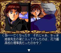 Himitsu no Hanazono gameplay screenshot