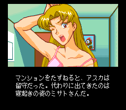 Shinsetsu Shiawase Usagi F: Yuujou Yori mo Aiyoku gameplay screenshot